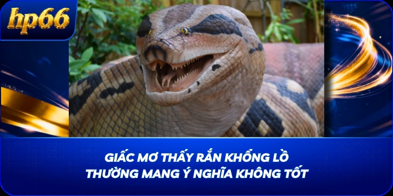 Giấc mơ thấy rắn khổng lồ thường mang ý nghĩa không tốt