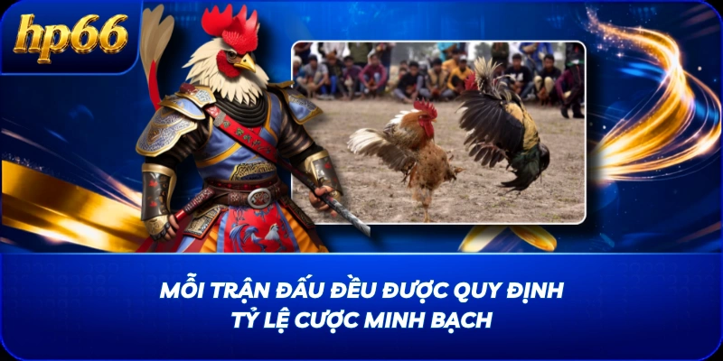 Mỗi trận đấu đều được quy định tỷ lệ cược minh bạch