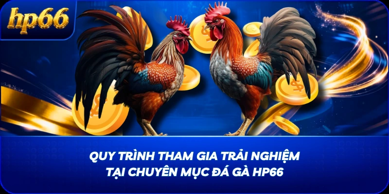 Quy trình tham gia trải nghiệm tại chuyên mục Đá Gà HP66