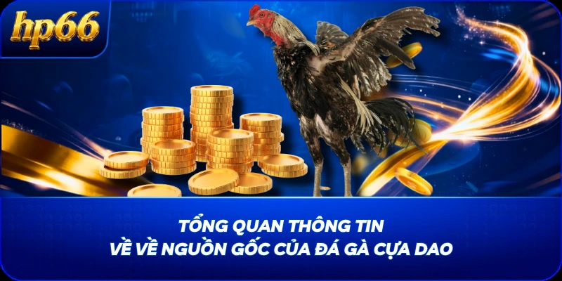 Tổng quan thông tin về về nguồn gốc của đá gà cựa dao