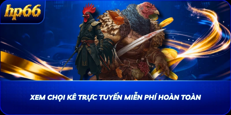 Xem chọi kê trực tuyến miễn phí hoàn toàn